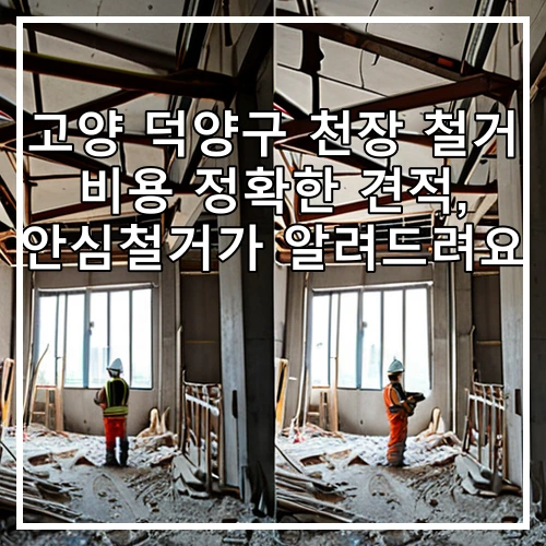 고양 덕양구 천장 철거 비용 정확한 견적, 안심철거가 알려드려요