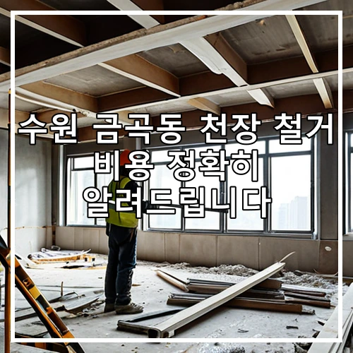 수원 금곡동 천장 철거 비용 정확히 알려드립니다