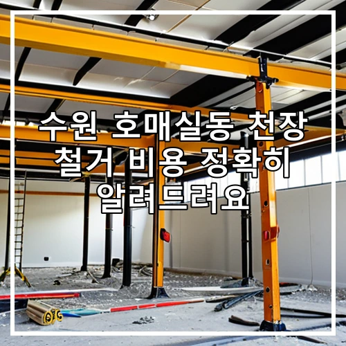 수원 호매실동 천장 철거 비용 정확히 알려드려요